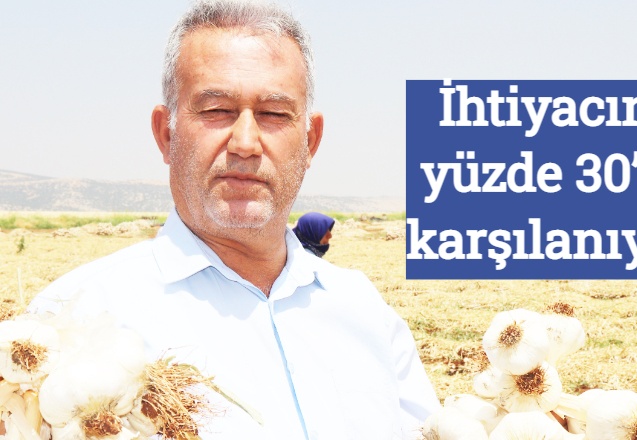 İhtiyacın yüzde 30’u karşılanıyor