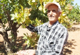 İki ay erken meyve veriyor