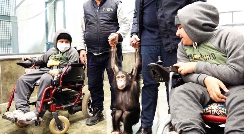 İki kardeş, doğal yaşam parkını gezdi