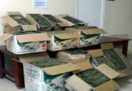 İki uyuşturucu operasyonunda 153 kilo esrar ele geçirildi