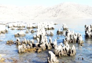 İklim değişikliği, can ve mal kayıplarına neden olabilecek sorun