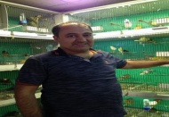İklim değişikliği kuşları öldürebiliyor