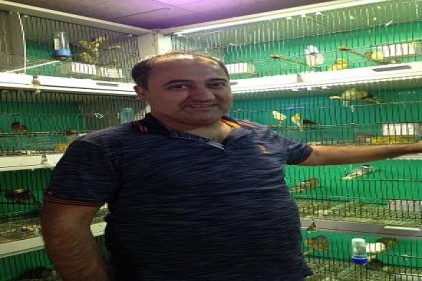 İklim değişikliği kuşları öldürebiliyor