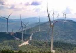 İklim değişikliğiyle mücadelede, ilk adımlar yerel yönetimlerden başlamalı