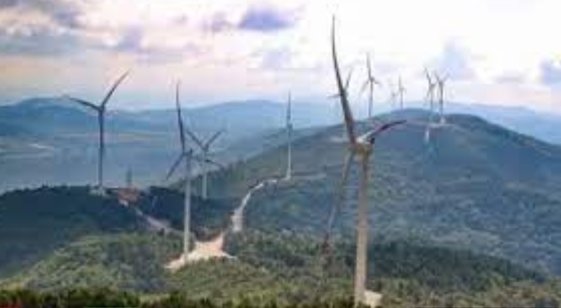 İklim değişikliğiyle mücadelede, ilk adımlar yerel yönetimlerden başlamalı