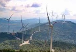 İklim değişikliğiyle mücadelede, ilk adımlar yerel yönetimlerden başlamalı