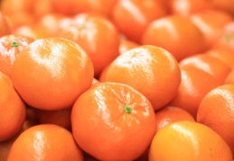 İklim krizi narenciye rekoltesini etkiledi: 72 bin ton gerileyecek