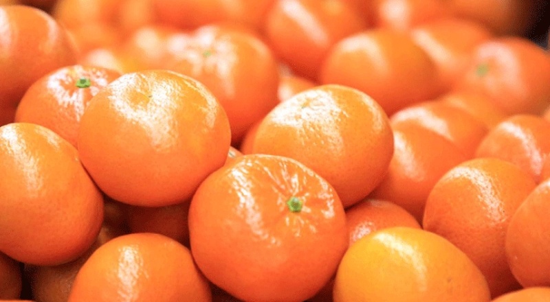 İklim krizi narenciye rekoltesini etkiledi: 72 bin ton gerileyecek