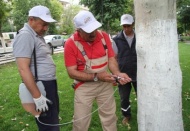 İlaçlamada yeni bir yöntem uygulanıyor