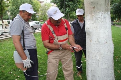 İlaçlamada yeni bir yöntem uygulanıyor