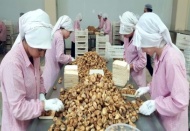 İncir, kayısı ve baklava 2 milyar Euro katma değer oluşturacak