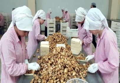 İncir, kayısı ve baklava 2 milyar Euro katma değer oluşturacak