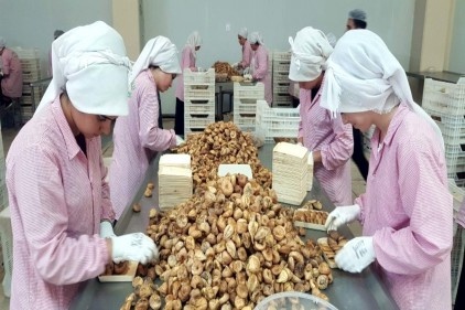 İncir, kayısı ve baklava 2 milyar Euro katma değer oluşturacak