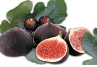 İncir üretimi, yüzde 9,5’lik artışla 328 bin tona ulaştı