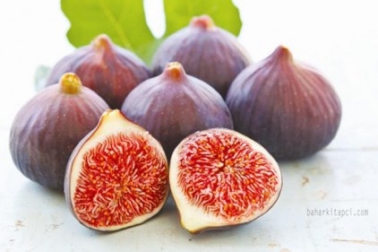 İncirin ihracat yolculuğu Eylül&#8217;de başlayacak
