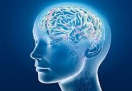 İnsan beyninin gizemi çözülüyor