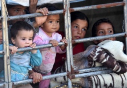 İnsan Hakları Derneği: Doğu ve Güneydoğu'da 10 yılda 228 çocuk yaşamını yitirdi
