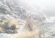 Irmakta erkek cesedi bulundu