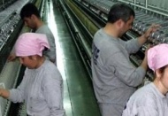 İş dünyasında kredi korkusu