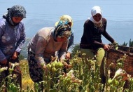 İş hayatında kadın ne yaşar ne yaşamaz
