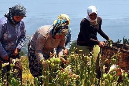 İş hayatında kadın ne yaşar ne yaşamaz