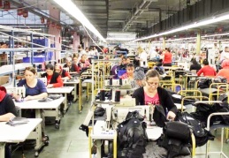 İŞKUR'un işgücü destek programları askıya alındı