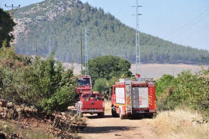 İslahiye ilçesinde ormanlık alanda yangın çıktı