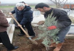 İslahiye’de ağaçlandırma yaptılar