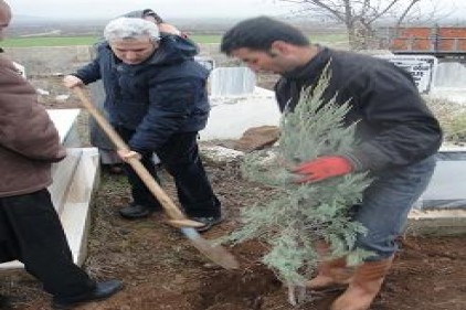 İslahiye&#8217;de ağaçlandırma yaptılar