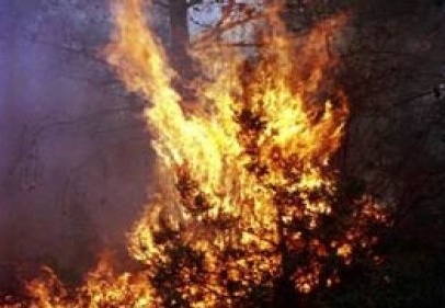 İslahiye’de askeri bölgede yangın çıktı