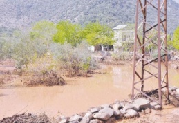 İslahiye’de bir ev çöktü 52 hayvan telef oldu