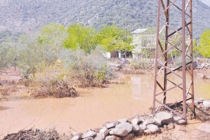İslahiye&#8217;de bir ev çöktü 52 hayvan telef oldu