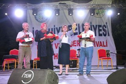 İslahiye&#039;de bu yıl ilk kez üzüm ve biber festivali düzenlendi