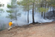 İslahiye'de çıkan orman yangını söndürüldü