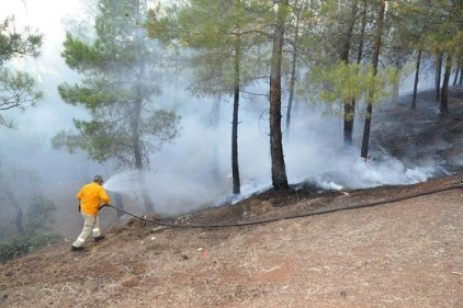 İslahiye&#039;de çıkan orman yangını söndürüldü