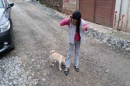 İslahiye&#8217;de ilkokul öğrencisi 3 çocuk sokak hayvanları için elele verdi