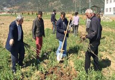İslahiye’de okul personeli fidan dikti