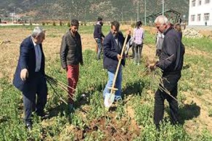 İslahiye&#8217;de okul personeli fidan dikti