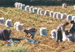 İşsizlik oranı 0.6 arttı