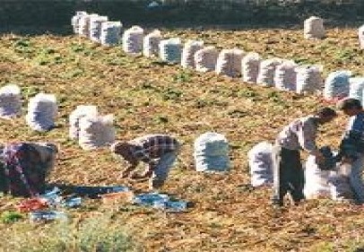 İşsizlik oranı 0.6 arttı