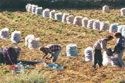 İşsizlik oranı 0.6 arttı