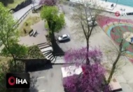 İstanbul Boğazı'nda Erguvan zamanı