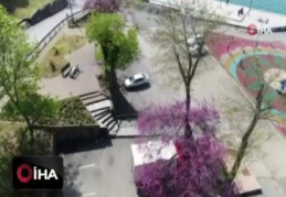 İstanbul Boğazı'nda Erguvan zamanı