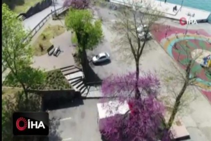 İstanbul Boğazı&#039;nda Erguvan zamanı