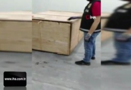 İstanbul havalimanı'nda 1 ton 217 kilogram Pangolin pul ele geçirildi