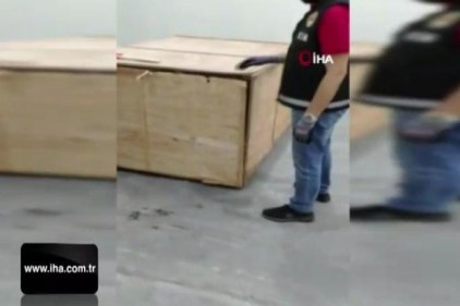İstanbul havalimanı&#039;nda 1 ton 217 kilogram Pangolin pul ele geçirildi