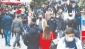 "İstanbul'da yüzde 20'ye yakın kişi bu hastalığı geçirdi"