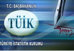 İstatistik Kurumu verileri web sitesinden açıklayacak