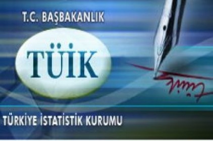 İstatistik Kurumu verileri web sitesinden açıklayacak