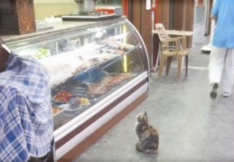 İşte tam da ciğere bakmak budur!